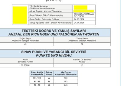 53.75 emel cobanoglu HER SEY GIZLENECEK