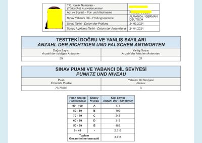 73.75 FIRUZE GUZEL HER SEY GIZLENECEK